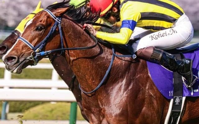 【宝塚記念】過去7回は全て人気以上の着順 松山弘平騎手がソールオリエンスで一発狙う