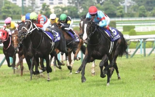 【宝塚記念過去10年傾向】1番人気で勝つには相当な実力必要!? ヒモには人気薄を絡めるのが吉