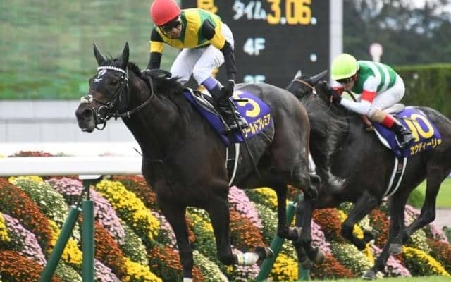 ワールドプレミア産駒が初勝利 現役時代に長距離GI・2勝の活躍