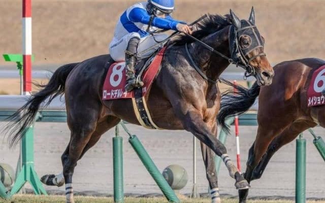 【宝塚記念】ロードHCが12年ぶりのJRA・GI制覇へ 大阪杯2着のロードデルレイ参戦