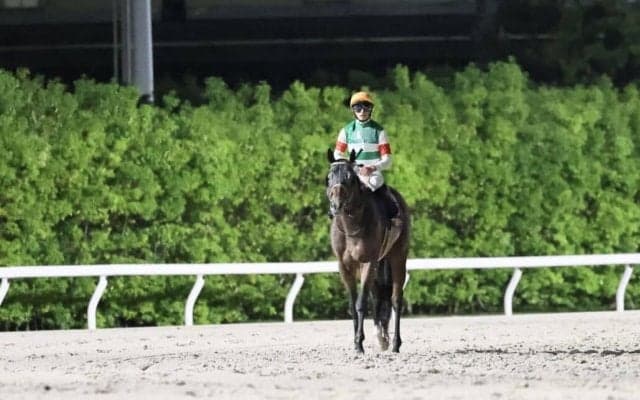 【東京ダービー】吉村誠「3角手前から追い出すような感じで…」カナルビーグルは5着まで
