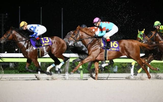 【東京ダービー】ルメール「グリップが効かなかった」クレーキングは直線猛追も及ばず2着