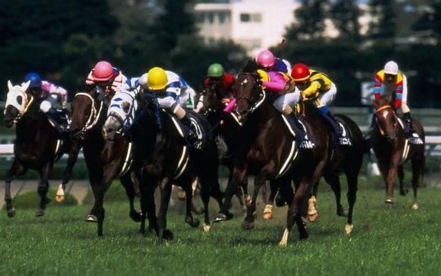 宝塚新市長誕生年の宝塚記念 過去7回のうち6回該当するオカルトデータとは