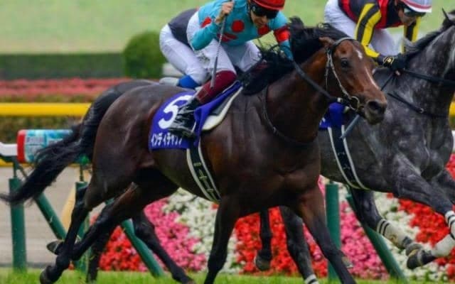 インディチャンプ産駒が中央初出走 ルーセントムーンに注目だ