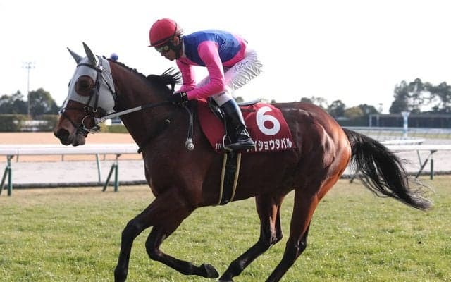 【競馬予想】宝塚記念は「トリッキーな舞台」で力を発揮しそうな伏兵２頭が高配当を演出か