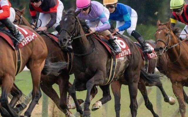 【函館SS枠順確定】ナムラクレアは4枠7番、ジューンブレアは1枠1番