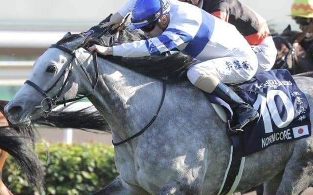 名牝ノームコアの2番仔 ドリームコアがレーン騎手で新馬勝ち狙う