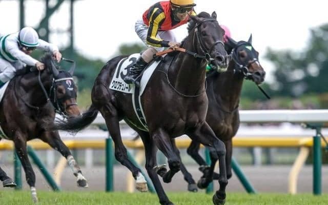 日本ダービーをサンデーRC所属馬が勝った年は“西高東低”!? 今年の宝塚記念も関西馬独占か