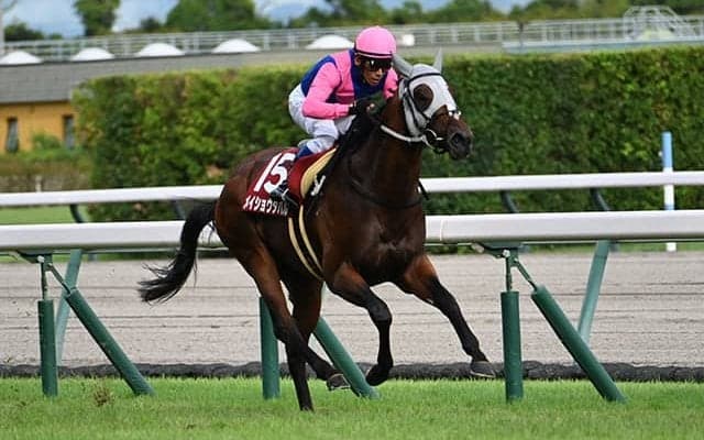 芝・ダートの締めくくり 2つの“春の総決算”を血統的側面から注目馬を探る