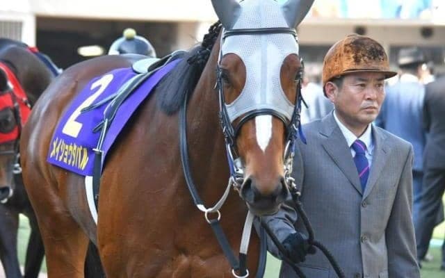 今週の武豊騎手は15鞍 メイショウタバルで宝塚記念の5勝目なるか