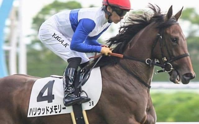 全兄はG1・2勝のダノンスマッシュ ハリウッドメモリーが連勝なるか