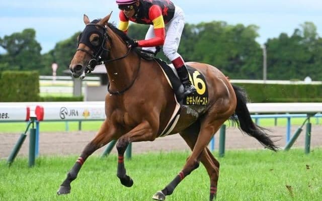 【府中牝馬S想定馬・騎手】セキトバイースト、フィールシンパシーなど14頭