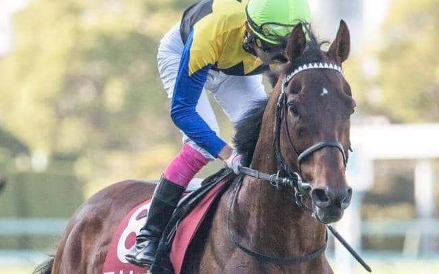 叔父は日本ダービー馬のマカヒキ 福永祐一厩舎のダイヤモンドノットが初陣V狙う