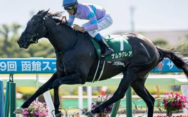 【今日の注目ポイント】函館SSでナムラクレアが同レース2勝目を狙う