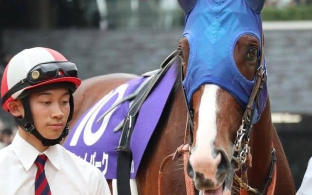 【宝塚記念】エアグルーヴ一族がグランプリ初制覇なるか 曾孫のローシャムパークが参戦