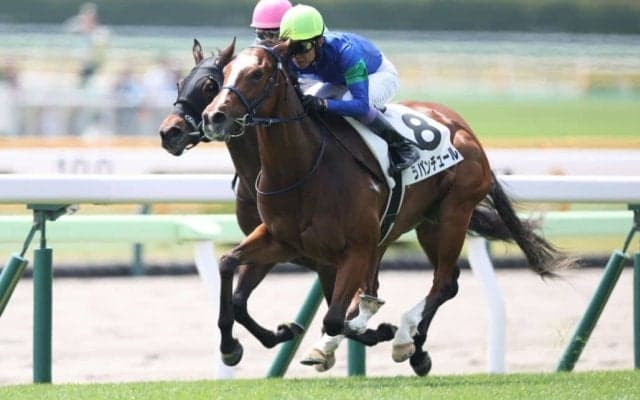 【函館7R】武豊ラパンチュールが人気に応える