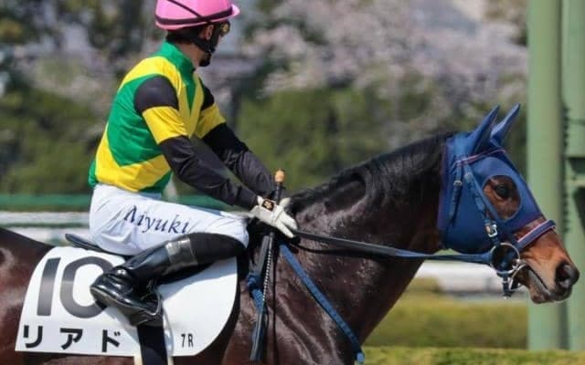 【津軽海峡特別】5億円馬のリアド 初の北海道で2年半ぶりの勝利なるか