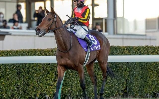 【AI予想・宝塚記念】大外枠は大歓迎！ 春秋グランプリ制覇に人工知能も太鼓判