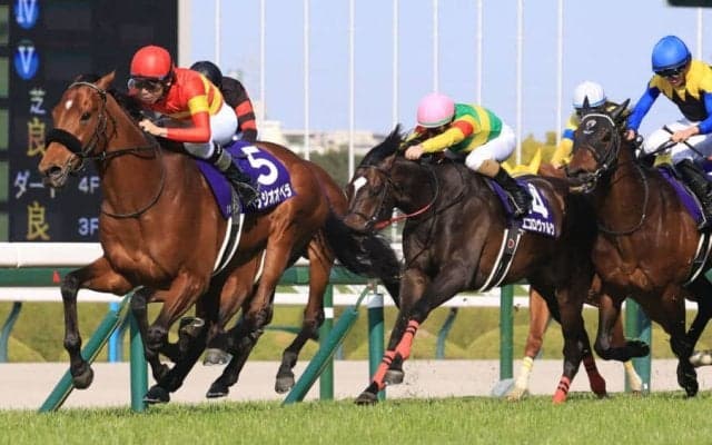 【宝塚記念】ファン投票1位ベラジオオペラは1枠1番…波乱もあり得る混戦模様
