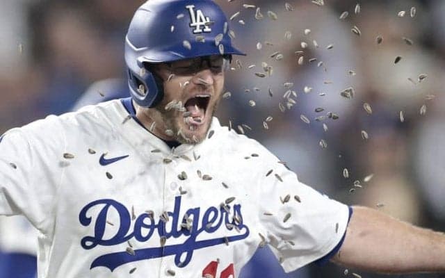 「将来は不透明かもしれないが…」ド軍マンシーが望む野球人生の“引き際”「大きな飛躍の年が残っていればいい」