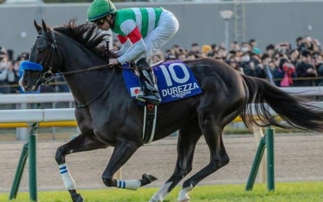 【宝塚記念予想】2週繰り上げで傾向に変化は生まれるか 上半期のグランプリ