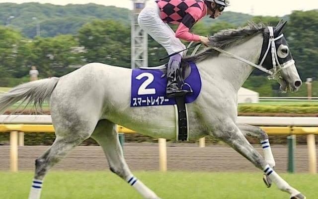 母は名牝スマートレイアー スマートプリエールが武豊騎手で新馬勝ちなるか