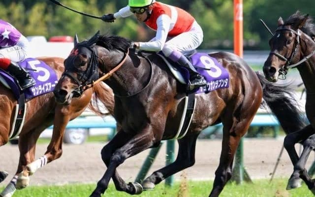 【宝塚記念予想】今年も上がり最速タイプを探すレース？ 過去データから探るGI宝塚記念