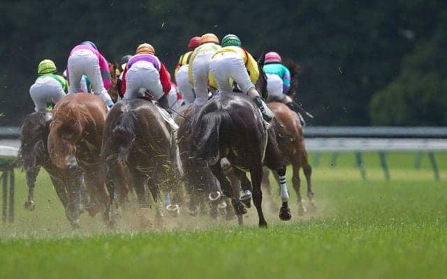 【宝塚記念／馬場情報】土曜は道悪でも「イン前」有利、阪神開催の道悪は08年逃げ切りV＋重厚血統が台頭