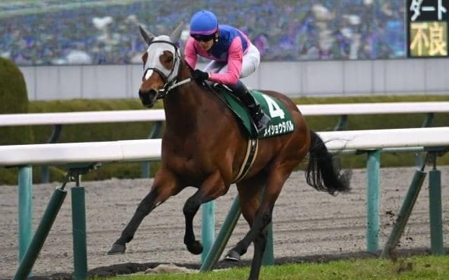 宝塚記念当日の阪神芝は道悪 メイショウタバルの逃げ切りあるぞ