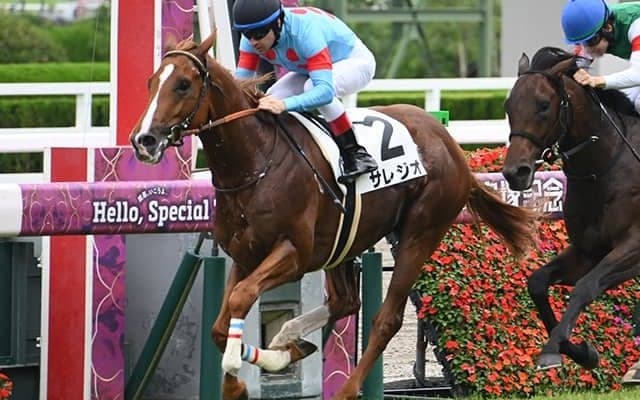 【阪神5R新馬戦結果】エピファネイア産駒サレジオが押し切り新馬勝ち