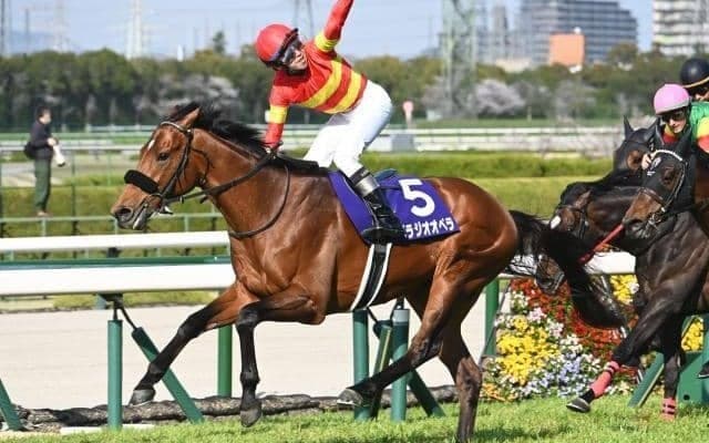 【宝塚記念・馬体重】ベラジオオペラは510kg(+2)、レガレイラは478kg(+10)