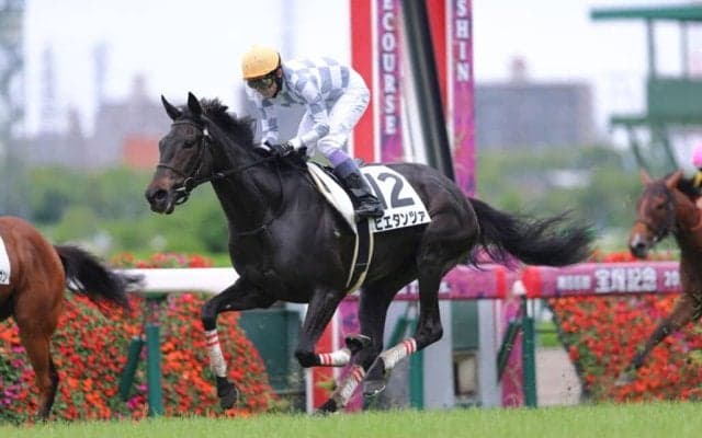 【阪神4R】武豊ピエタンツァが差し切りV…トロワゼトワル半妹