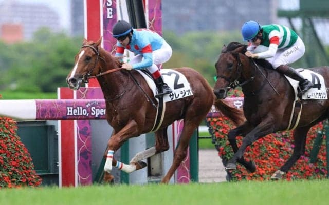 【新馬/阪神5R】良血サレジオがデビュー戦を快勝