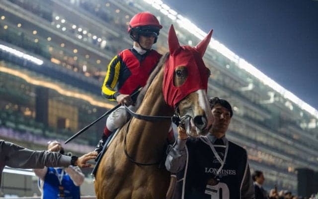 【しらさぎS登録馬】米子Sから昇格の新設重賞…チェルヴィニアなどが登録