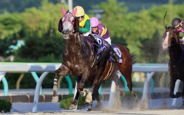 【水沢・早池峰スーパースプリント】エイシントルペードが転入初戦で重賞制覇