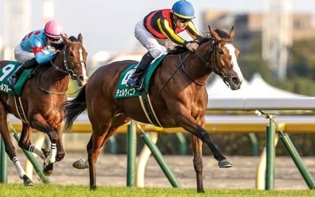 【しらさぎS見どころ】チェルヴィニアが格の違いを見せつける