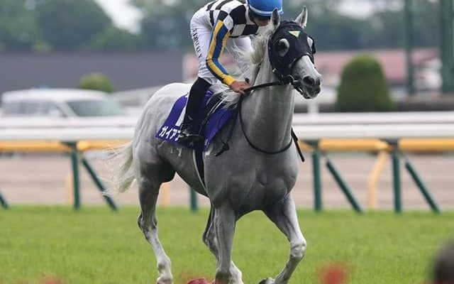 GI/JpnIに4度騎乗してすべて5着以内 下半期も注目の吉村誠之助騎手