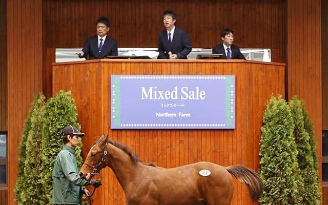 ノーザンファームがミックスセールの上場馬を一部発表 ダービー馬レイデオロの半弟など良血馬ズラリ