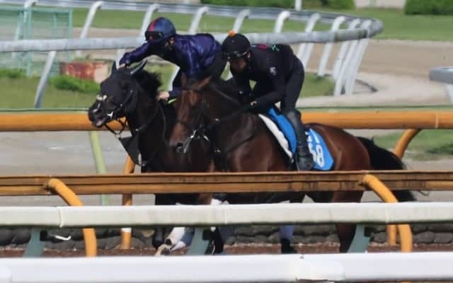 半兄はジャンタルマンタル ウンナターシャが土曜東京のダートで初陣/関西馬メイクデビュー情報
