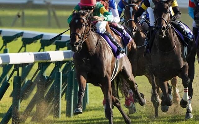 【AI予想・府中牝馬S】装いを新たに開催される牝馬限定重賞 異なる強みを感じる人工知能の本命候補とは