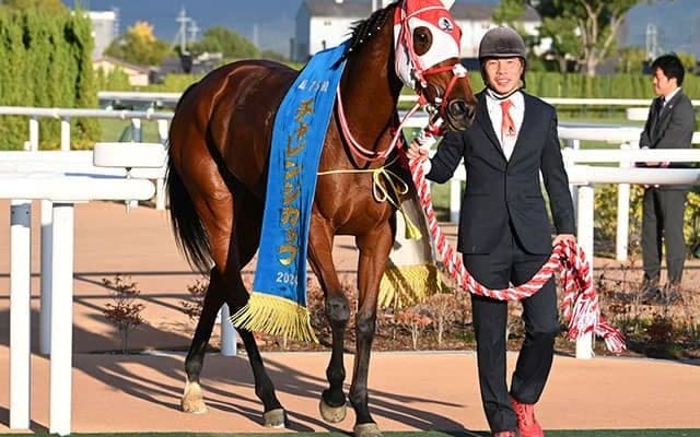【府中牝馬S想定騎手】ラヴェルは津村明秀騎手、カニキュルは戸崎圭太騎手