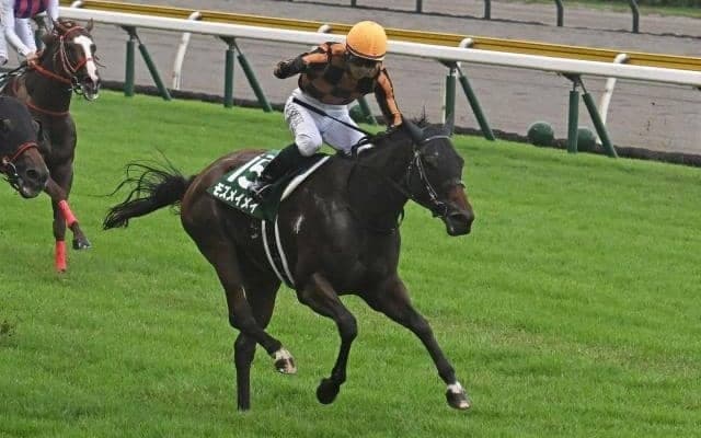 14戦全勝、G1・10勝、レーティング140……血統表でよく見る伝説の名馬「フランケル」を深堀り