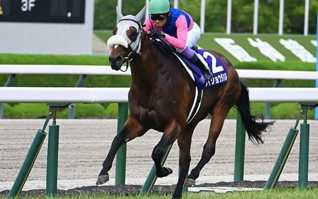 7週連続のGI開催を振り返り 好成績を残した騎手・調教師・馬主は？