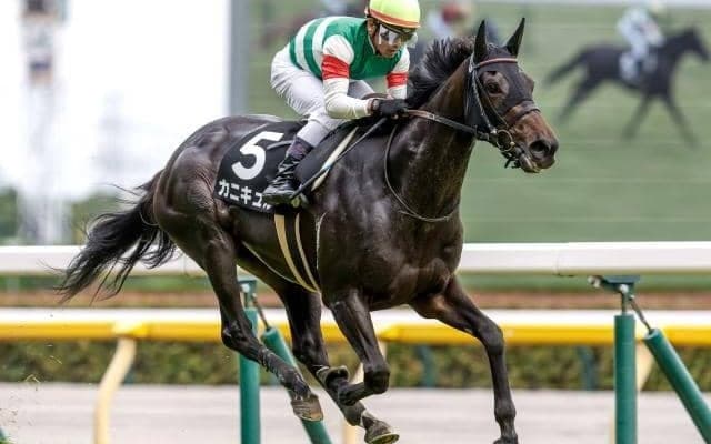 【府中牝馬S予想オッズ】カニキュルが予想1番人気