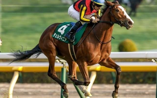 【しらさぎS予想オッズ】チェルヴィニアが予想1番人気