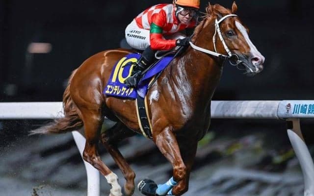 【川崎・川崎スパーキングスプリント結果】エンテレケイアが逃げ切って重賞4勝目を挙げる