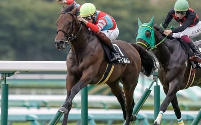 【しらさぎS展望】米子Sが格上げで新設 サマーマイルシリーズの初戦