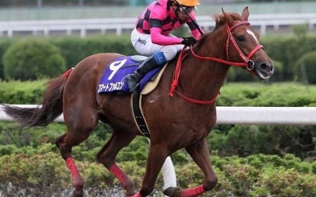スマートファルコンのさきたま杯V2から15年 4馬身差の圧勝で達成した史上初