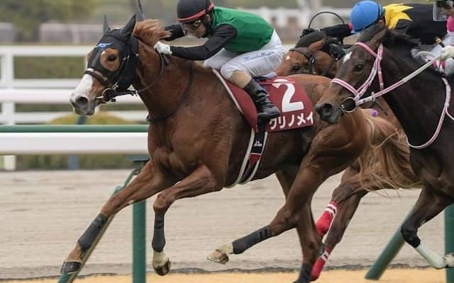 【川崎・関東オークス注目馬】3歳牝馬の頂点決する“砂のオークス” チューリップ賞覇者クリノメイなどが参戦