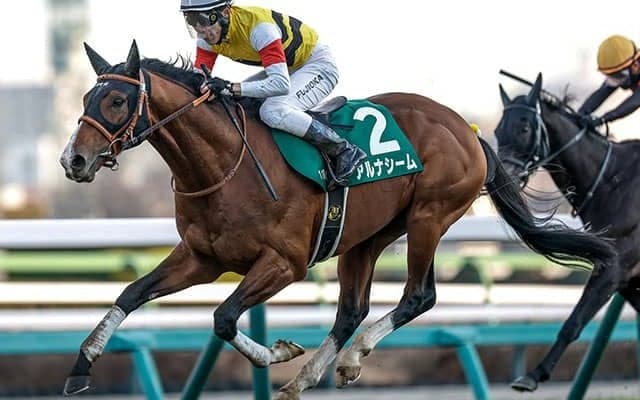 【函館記念想定】アルナシームやデシエルトなど16頭